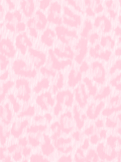 豹柄 Pink背景 ｱﾙﾊﾞﾑ